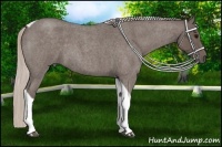Horse Color:Silver Blue Roan Tobiano
