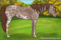 Horse Color:Chestnut Ice 