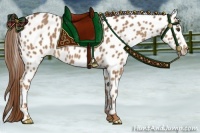 Horse Color:Chestnut Near Leopard 