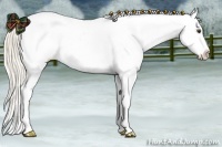 Horse Color:Palomino Varnish 