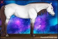 Horse Color:Chocolate Brown Chinchilla Dun Sabino