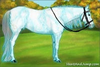 Horse Color:Nacre Thunderstruck Brown Ice Dun Appaloosa  and Nacre Thunderstruck Bay Ice Dun Appaloosa 