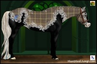 Horse Color:Plaid  White Spotted Chocolate Palomino Sabino 