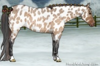 Horse Color:Brown Roan Dun Near Leopard 