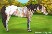 Horse Color:Bay Ice Sabino Appaloosa