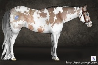 Horse Color:White Spotted Bay Ice Splash