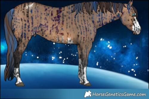 Horse Color:ERROR: UNKNOWN ANOMALY and Brown Dun Varnish
