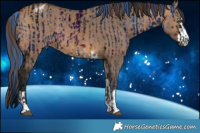 Horse Color:ERROR: UNKNOWN ANOMALY and Brown Dun Varnish