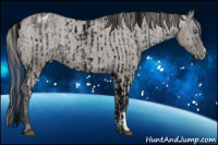 Horse Color:ERROR: UNKNOWN ANOMALY and Brown Dun Appaloosa