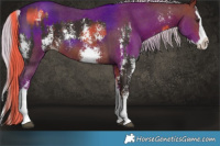Horse Color:Liver Chestnut Sabino Splash  and Silver Bay Sabino Splash 