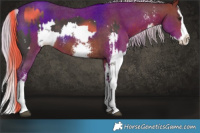 Horse Color:Liver Chestnut Sabino Splash  and Silver Bay Sabino Splash 