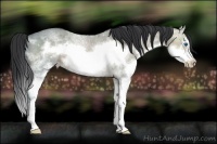 Horse Color:White Spotted Brown Ice Roan Splash Frame