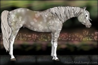 Horse Color:White Spotted Silver Smoky Black Ice 