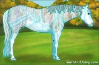 Horse Color:Thunderstruck Silver Black Ice Splash 