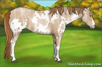 Horse Color:White Spotted Chestnut Ice Pearl 