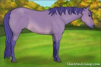 Horse Color:Watercolor Buckskin Dun Rabicano