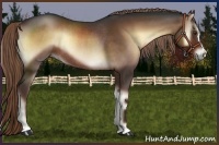 Horse Color:Liver Red Onyx Rabicano