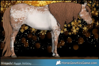 Horse Color:Black Ice Pearl Sabino