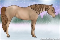Horse Color:Liver Chestnut Pearl 