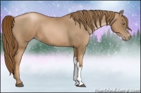 Horse Color:Liver Chestnut Pearl
