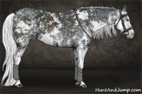 Horse Color:Silver Black Chinchilla Sabino 