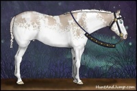 Horse Color:White Spotted Chocolate Palomino Pearl