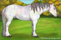 Horse Color:Nacre Brown Chinchilla Onyx Appaloosa and Nacre Brown Chinchilla Onyx Splash Appaloosa