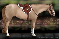 Horse Color:Liver Chestnut Pearl 