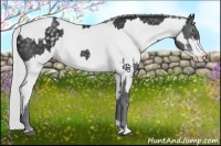 Horse Color:Silver Black Chinchilla and Smoky Creme Chinchilla Splash