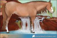 Horse Color:Chocolate Brown Pearl 