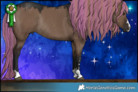 Horse Color:Painted Liver Red Dun Rabicano 