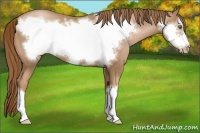 Horse Color:Liver Chestnut Pearl Frame