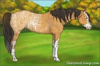 Horse Color:Buckskin Ice Rabicano and Buckskin Ice Splash