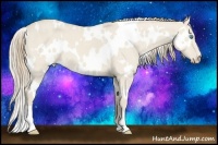 Horse Color:White Spotted Smoky Creme Dun