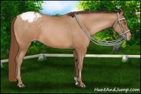 Horse Color:Brown Pearl Varnish 