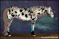 Horse Color:Chocolate Palomino Onyx Sabino Appaloosa