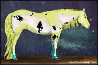 Horse Color:Watercolor White Spotted Red Onyx Rabicano