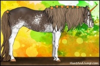 Horse Color:White Spotted Liver Chestnut Rabicano 