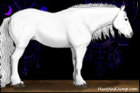 Horse Color:Gray Black Appaloosa