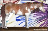 Horse Color:Chocolate Brown Splash