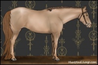 Horse Color:Liver Chestnut Pearl 