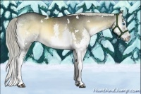 Horse Color:White Spotted Liver Red Onyx Splash