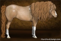 Horse Color:Liver Chestnut Pearl 