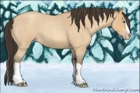 Horse Color:Amber Champagne Roan Splash 