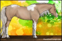 Horse Color:Silver Blue Roan Pearl Tobiano Frame