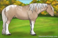 Horse Color:Silver Blue Roan Pearl Tobiano 