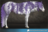 Horse Color:Watercolor Liver Chestnut Ice Sabino Tobiano 