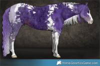 Horse Color:Watercolor Liver Chestnut Ice Sabino Tobiano 