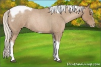 Horse Color:Silver Blue Roan Pearl Tobiano Frame 