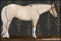 Horse Color:Silver Blue Roan Pearl Tobiano Frame 